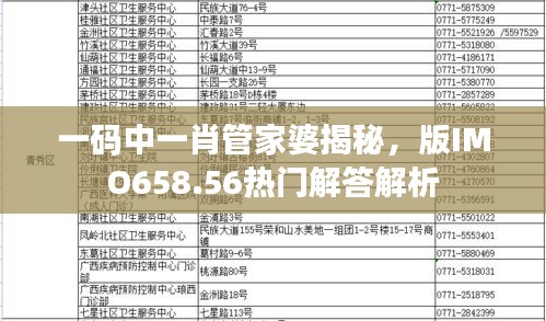 一碼中一肖管家婆揭秘，版IMO658.56熱門解答解析