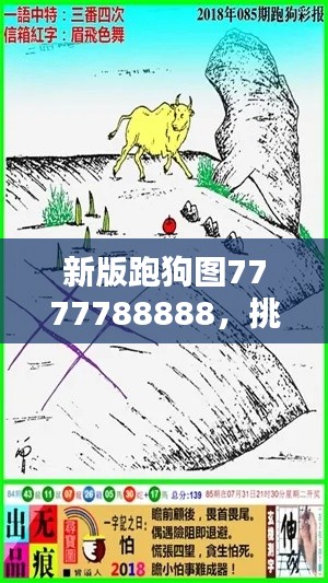 新版跑狗圖7777788888，挑戰(zhàn)TDM565.02資料解析