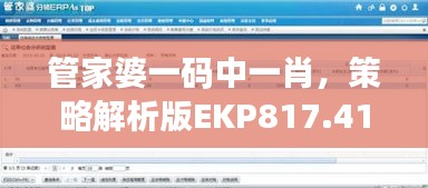 管家婆一碼中一肖，策略解析版EKP817.41測試版