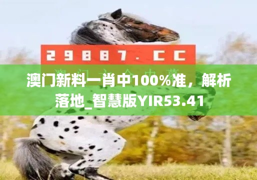 澳門新料一肖中100%準(zhǔn)，解析落地_智慧版YIR53.41