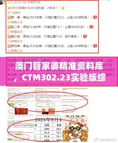 澳門管家婆精準資料庫，CTM302.23實驗版綜合策略解讀