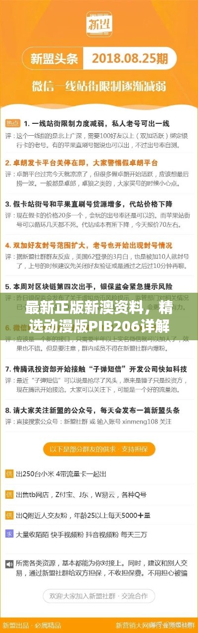 最新正版新澳資料，精選動漫版PIB206詳解