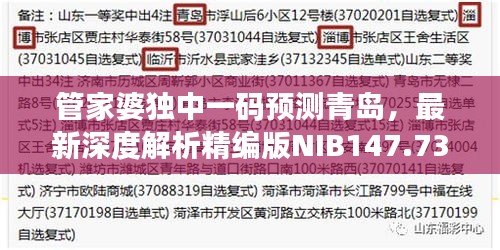 管家婆獨(dú)中一碼預(yù)測青島，最新深度解析精編版NIB147.73