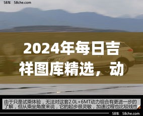 2024年每日吉祥圖庫精選，動(dòng)態(tài)解讀_SXR232.69遺憾缺席