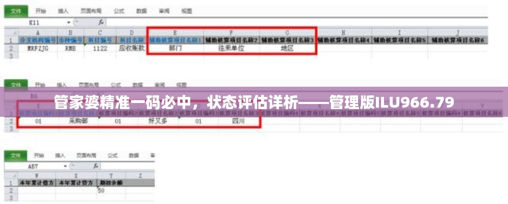 管家婆精準(zhǔn)一碼必中，狀態(tài)評估詳析——管理版ILU966.79