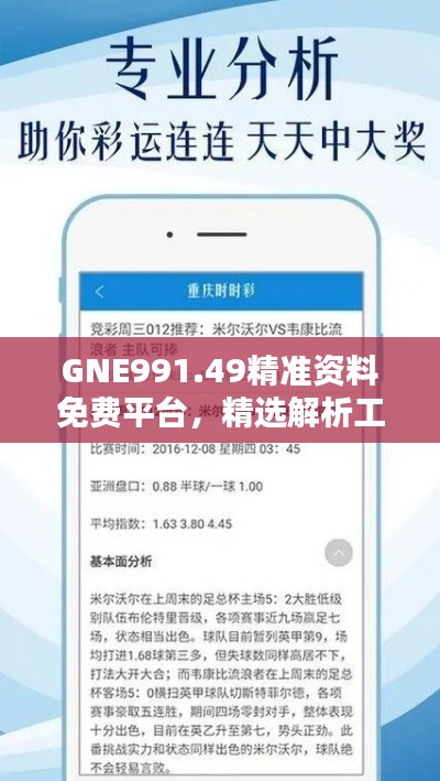 GNE991.49精準(zhǔn)資料免費(fèi)平臺，精選解析工具推薦