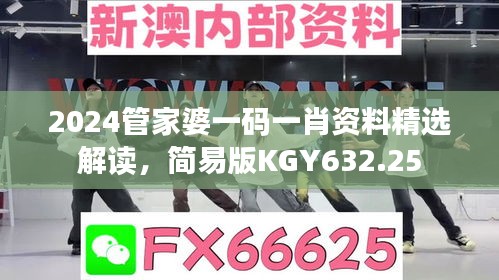 2024管家婆一碼一肖資料精選解讀，簡易版KGY632.25