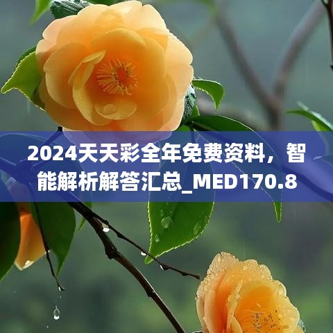 2024天天彩全年免費資料，智能解析解答匯總_MED170.88版