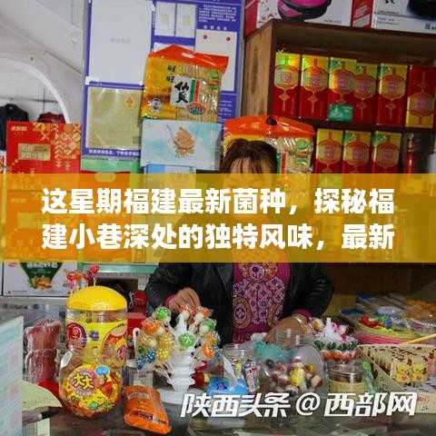 福建小巷深處的獨(dú)特風(fēng)味，最新菌種小店之旅探秘記