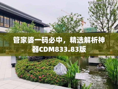 管家婆一碼必中，精選解析神器CDM833.83版