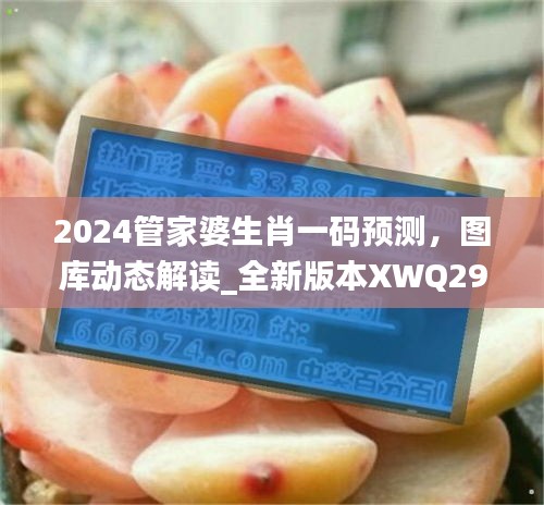 2024管家婆生肖一碼預(yù)測，圖庫動態(tài)解讀_全新版本XWQ290.47