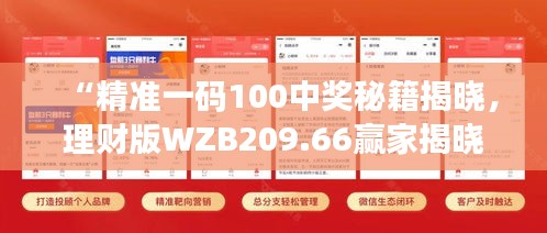 “精準一碼100中獎秘籍揭曉，理財版WZB209.66贏家揭曉”