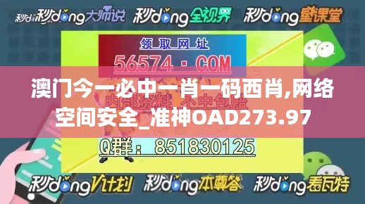 澳門今一必中一肖一碼西肖,網(wǎng)絡空間安全_準神OAD273.97