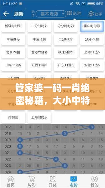 管家婆一碼一肖絕密秘籍，大小中特精準解析，JRW112.88編程版最新解讀