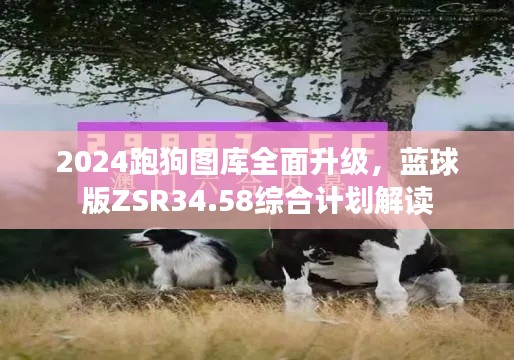 2024跑狗圖庫全面升級，藍(lán)球版ZSR34.58綜合計(jì)劃解讀