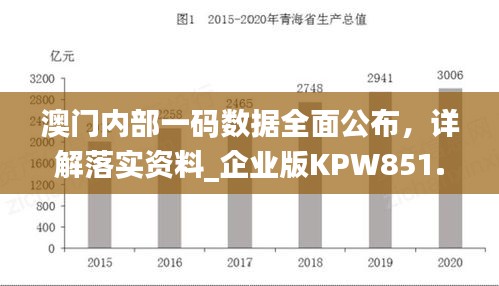 澳門內(nèi)部一碼數(shù)據(jù)全面公布，詳解落實(shí)資料_企業(yè)版KPW851.07