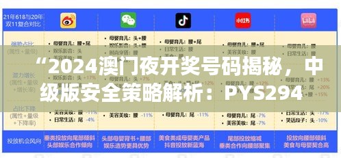 “2024澳門夜開獎號碼揭秘，中級版安全策略解析：PYS294.03”