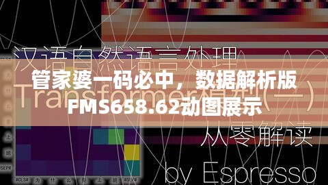 管家婆一碼必中，數(shù)據(jù)解析版FMS658.62動圖展示