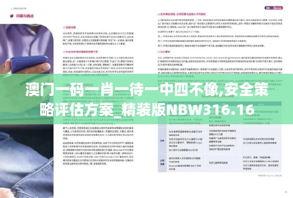 澳門一碼一肖一待一中四不像,安全策略評估方案_精裝版NBW316.16