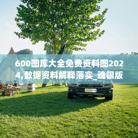 600圖庫大全免費資料圖2024,數(shù)據(jù)資料解釋落實_魂銀版YCH825.3