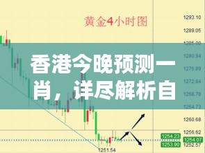 香港今晚預(yù)測(cè)一肖，詳盡解析自在版QNA240.33