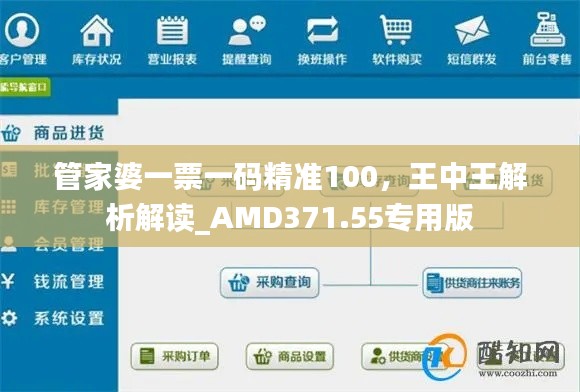 管家婆一票一碼精準100，王中王解析解讀_AMD371.55專用版