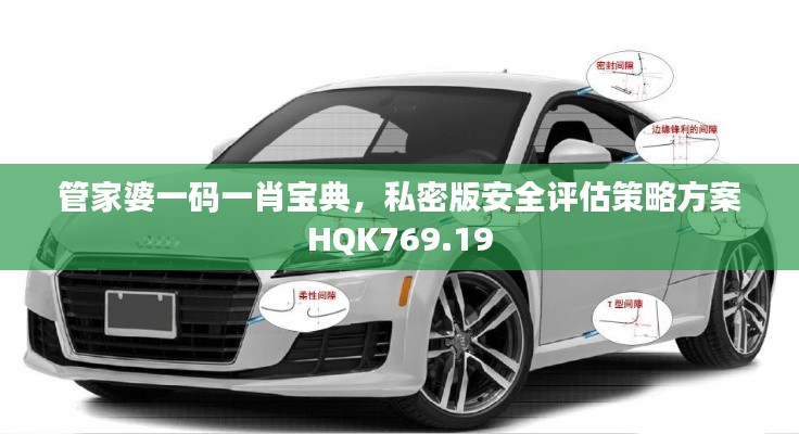 管家婆一碼一肖寶典，私密版安全評估策略方案HQK769.19