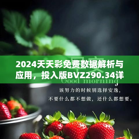 2024天天彩免費(fèi)數(shù)據(jù)解析與應(yīng)用，投入版BVZ290.34詳述