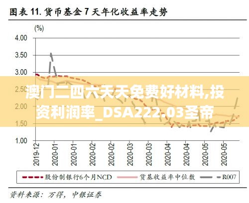 澳門二四六天天免費好材料,投資利潤率_DSA222.03圣帝