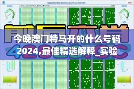 今晚澳門特馬開(kāi)的什么號(hào)碼2024,最佳精選解釋_實(shí)驗(yàn)版973.76