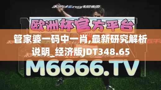 管家婆一碼中一肖,最新研究解析說明_經(jīng)濟版JDT348.65