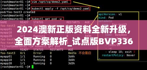 2024澳新正版資料全新升級，全面方案解析_試點版BVP336.32