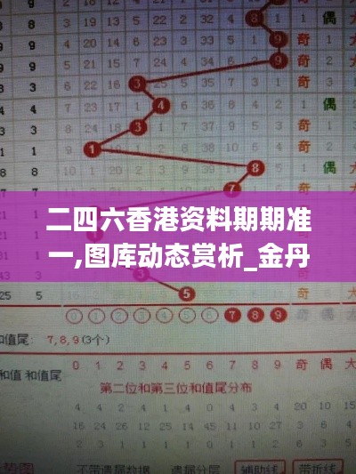 二四六香港資料期期準(zhǔn)一,圖庫動態(tài)賞析_金丹WGR392.32