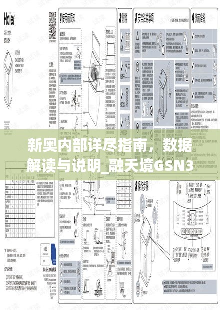 新奧內(nèi)部詳盡指南，數(shù)據(jù)解讀與說明_融天境GSN335.3