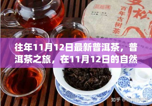 普洱茶之旅，在11月12日的自然懷抱中品味靜心之茶，探尋最新普洱茶的魅力