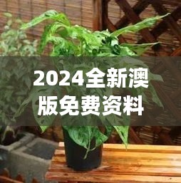 2024全新澳版免費(fèi)資料集，植物防護(hù)秘籍——九天太仙FLQ414.11