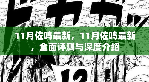 11月佐鳴最新，全面評測與深度介紹