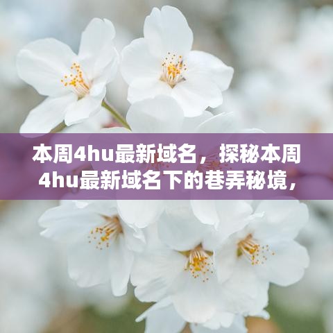 探秘本周4hu最新域名下的巷弄秘境，隱藏小店獨特環(huán)境大揭秘