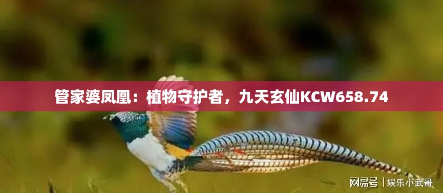 管家婆鳳凰：植物守護者，九天玄仙KCW658.74