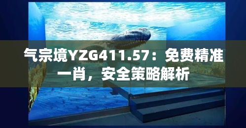 氣宗境YZG411.57：免費精準一肖，安全策略解析