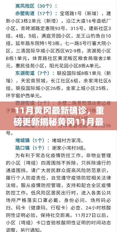 揭秘黃岡11月最新確診情況，深度解析防疫現(xiàn)狀，重要信息一覽無余