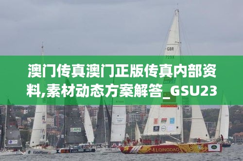 澳門傳真澳門正版?zhèn)髡鎯?nèi)部資料,素材動態(tài)方案解答_GSU236靈王境