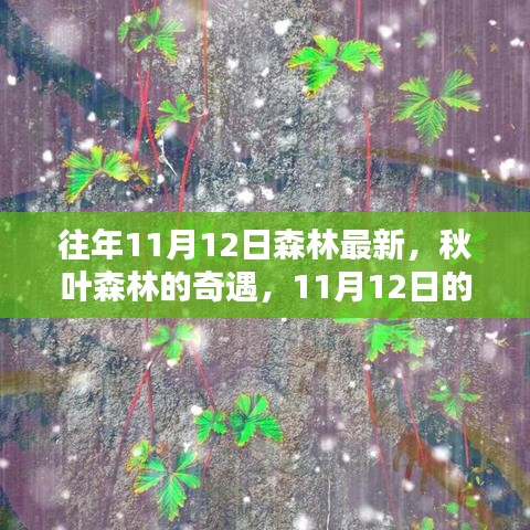 秋日森林奇遇，溫馨記憶中的最新秋葉森林