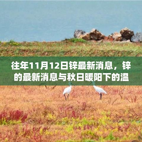 秋日暖陽下的鋅情，最新鋅消息與溫情故事回顧