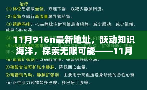 躍動(dòng)知識(shí)海洋，探索無(wú)限可能，揭秘11月916n新地址魔法之旅，學(xué)習(xí)成就自信與成長(zhǎng)