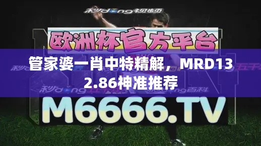 管家婆一肖中特精解，MRD132.86神準(zhǔn)推薦