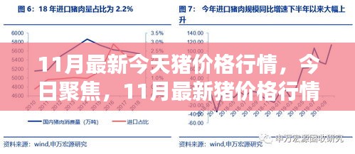 11月最新豬價(jià)格行情深度解析與今日聚焦