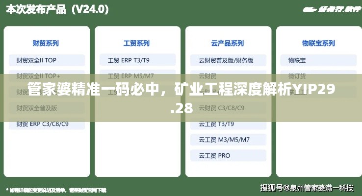 管家婆精準一碼必中，礦業(yè)工程深度解析YIP29.28