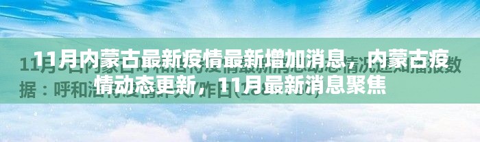 內(nèi)蒙古11月疫情最新動態(tài)，最新增加消息與聚焦