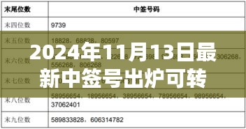 揭秘，2024年最新可轉(zhuǎn)債中簽號(hào)出爐背后的影響與時(shí)代地位分析